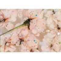 SMint レースフラワー グリッター 3.Peach