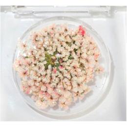 SMint レースフラワー グリッター 4.C Pink