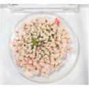SMint レースフラワー グリッター 4.C Pink