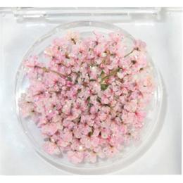 SMint レースフラワー グリッター 5.Pink