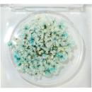 SMint レースフラワー グリッター 8.Turquoise