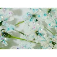 SMint レースフラワー グリッター 8.Turquoise