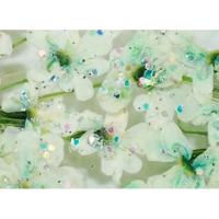 SMint レースフラワー グリッター 9.L Green
