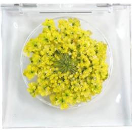 SMint レースフラワー グリッター 10.L Yellow