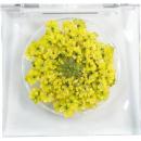 SMint レースフラワー グリッター 10.L Yellow