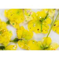 SMint レースフラワー グリッター 10.L Yellow