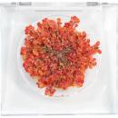SMint レースフラワー グリッター 11.Orange