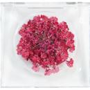 SMint レースフラワー グリッター 12.Red