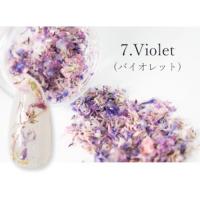 SMint 花びら 7.Violet