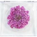 SMint レースフラワー グリッター 13.Azalea