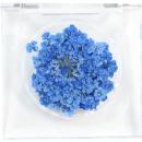 SMint レースフラワー グリッター 15.Sapphire