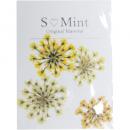 SMint レースフラワー トライ 2.Yellow