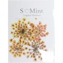 SMint レースフラワー トライ 3.Orange