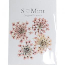 SMint レースフラワー トライ 4.Coral