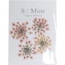 SMint レースフラワー トライ 4.Coral