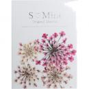 SMint レースフラワー トライ 5.Pink