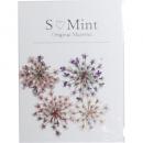 SMint レースフラワー トライ 6.Purple