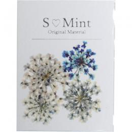 SMint レースフラワー トライ 8.Blue