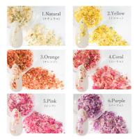 SMint 花びら 12色セット