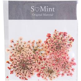 SMint レースフラワー カラーセレクト コーラル