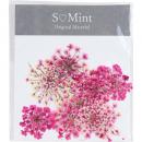 SMint レースフラワー カラーセレクト ピンク