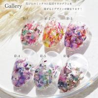 SMint 花びら彩-1