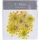 SMint レースフラワー カラーセレクト イエロー