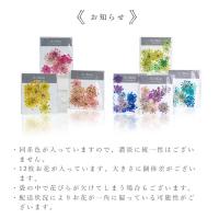 SMint レースフラワー カラーセレクト イエロー