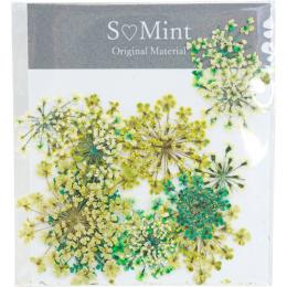 SMint レースフラワー カラーセレクト グリーン