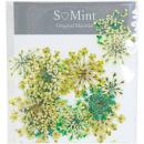 SMint レースフラワー カラーセレクト グリーン