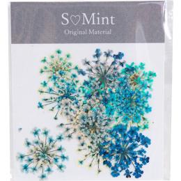 SMint レースフラワー カラーセレクト ブルー