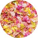 SMint 花びら彩-2