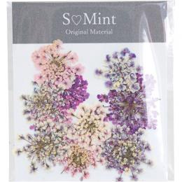 SMint レースフラワー カラーセレクト パープル