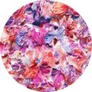 SMint 花びら彩-3