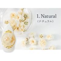 SMint カスミソウ 1.Natural