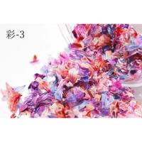 SMint 花びら彩-3