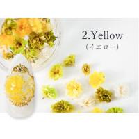 SMint カスミソウ 2.Yellow