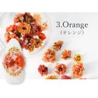 SMint カスミソウ 3.Orange
