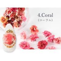 SMint カスミソウ 4.Coral