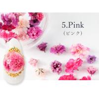 SMint カスミソウ 5.Pink