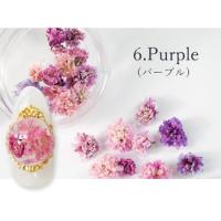 SMint カスミソウ 6.Purple