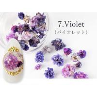 SMint カスミソウ 7.Violet