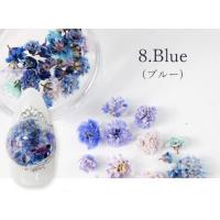 SMint カスミソウ 8.Blue