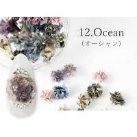 SMint カスミソウ 12.Ocean