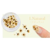 SMint コデマリ 1.Natural