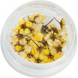 SMint コデマリ 2.Yellow