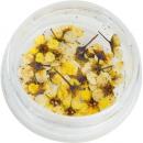 SMint コデマリ 2.Yellow