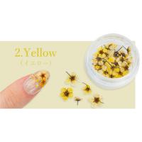 SMint コデマリ 2.Yellow