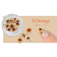 SMint コデマリ 3.Orange