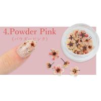 SMint コデマリ 4.Powder Pink
